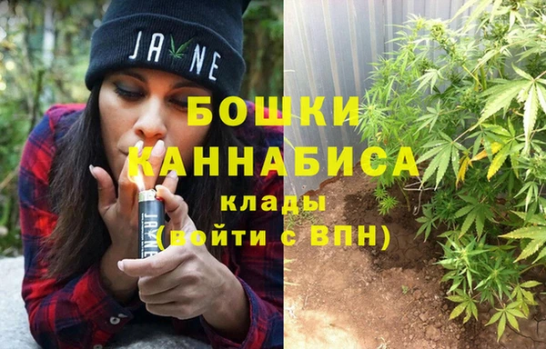 прущая мука Горняк