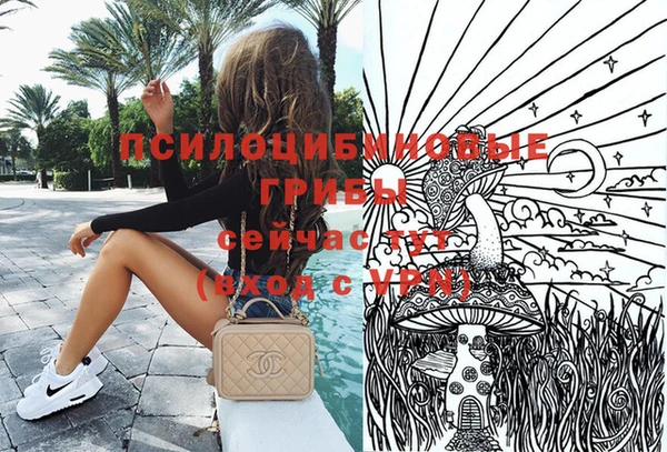 прущая мука Горняк