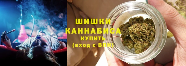 прущая мука Горняк