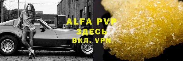 mdpv Горно-Алтайск